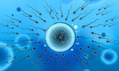 河南新郑可以做试管婴儿