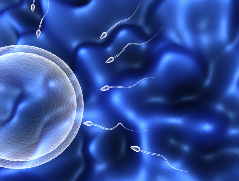 卵巢早衰做试管婴儿成功率怎么样？内附私立