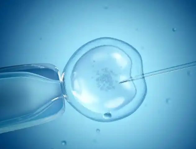 国内高成功率三代试管婴儿医院排名2026年版本